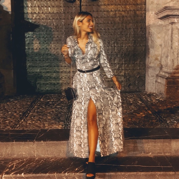 Zara Dresses & Skirts - ZARA BLOGGERS FAVORITE SNAKE SHIRT MAXI DRESS
